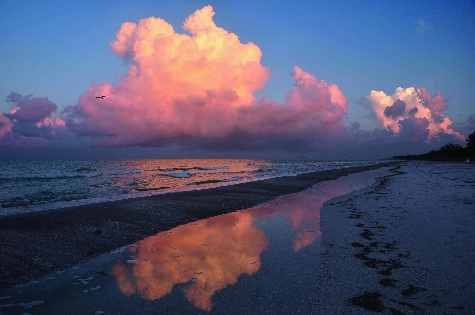 Beach Castle Resort By Rva Longboat Key Kültér fotó